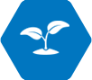 alt=